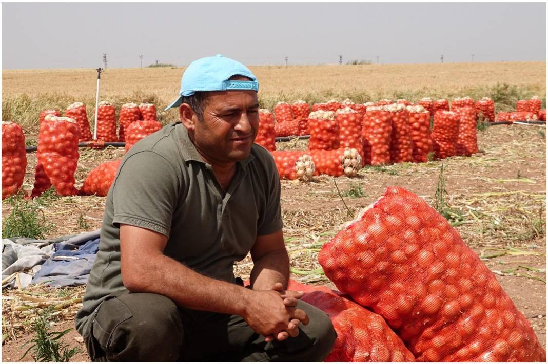 Çiftçinin kafası karışıktı, Şemsi Bayraktar açıkladı: Emekli çiftçiler 5000 TL destekten.... 5